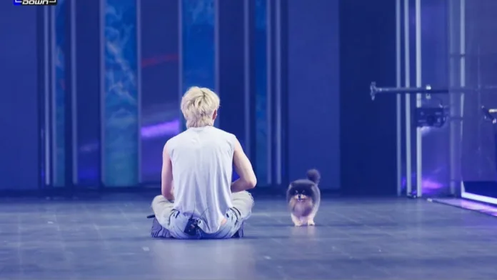 Yeontan Becomes the First K-Pop Idol Pet to Receive an Official Performance Fancam